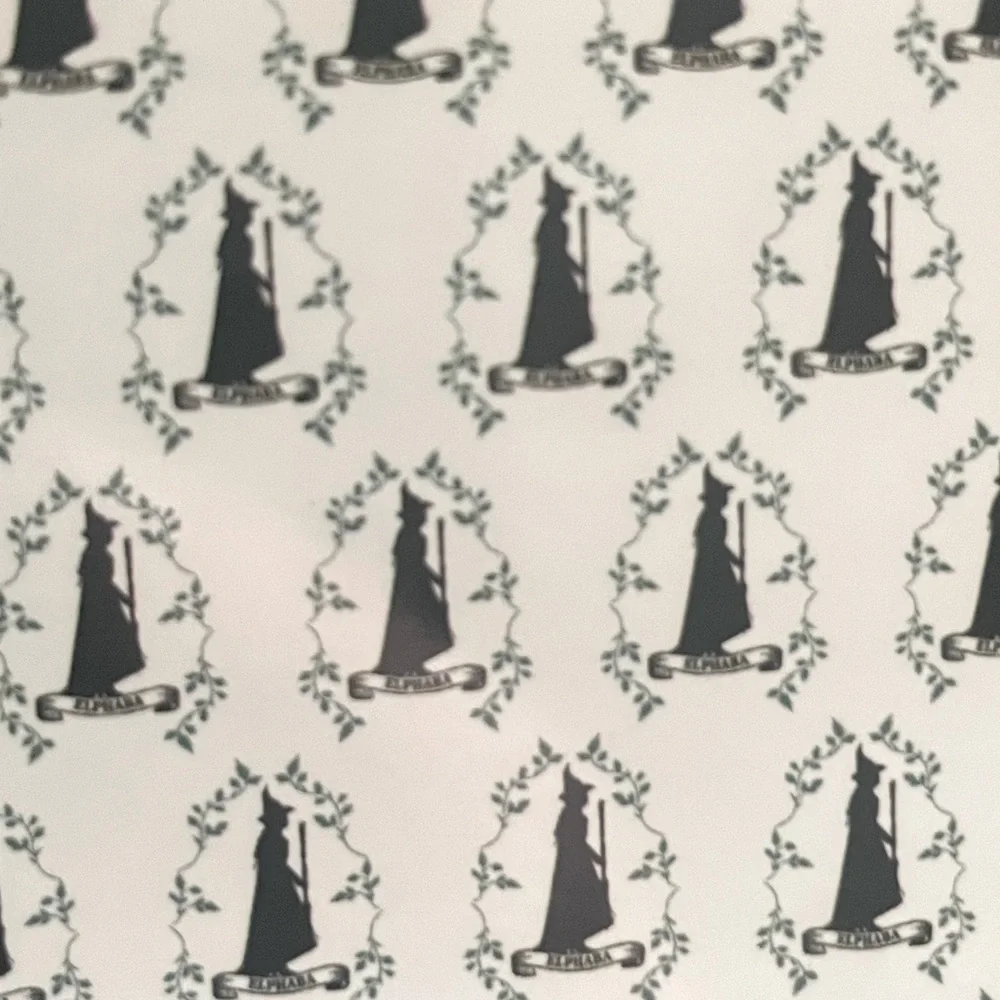 Wicked witch oversized‎ soft plush throw blanket Elphaba 50x70 in